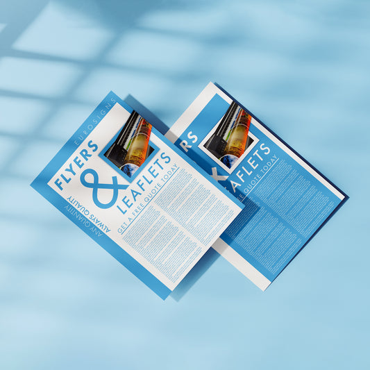 Standard Business Flyer Double Side Print